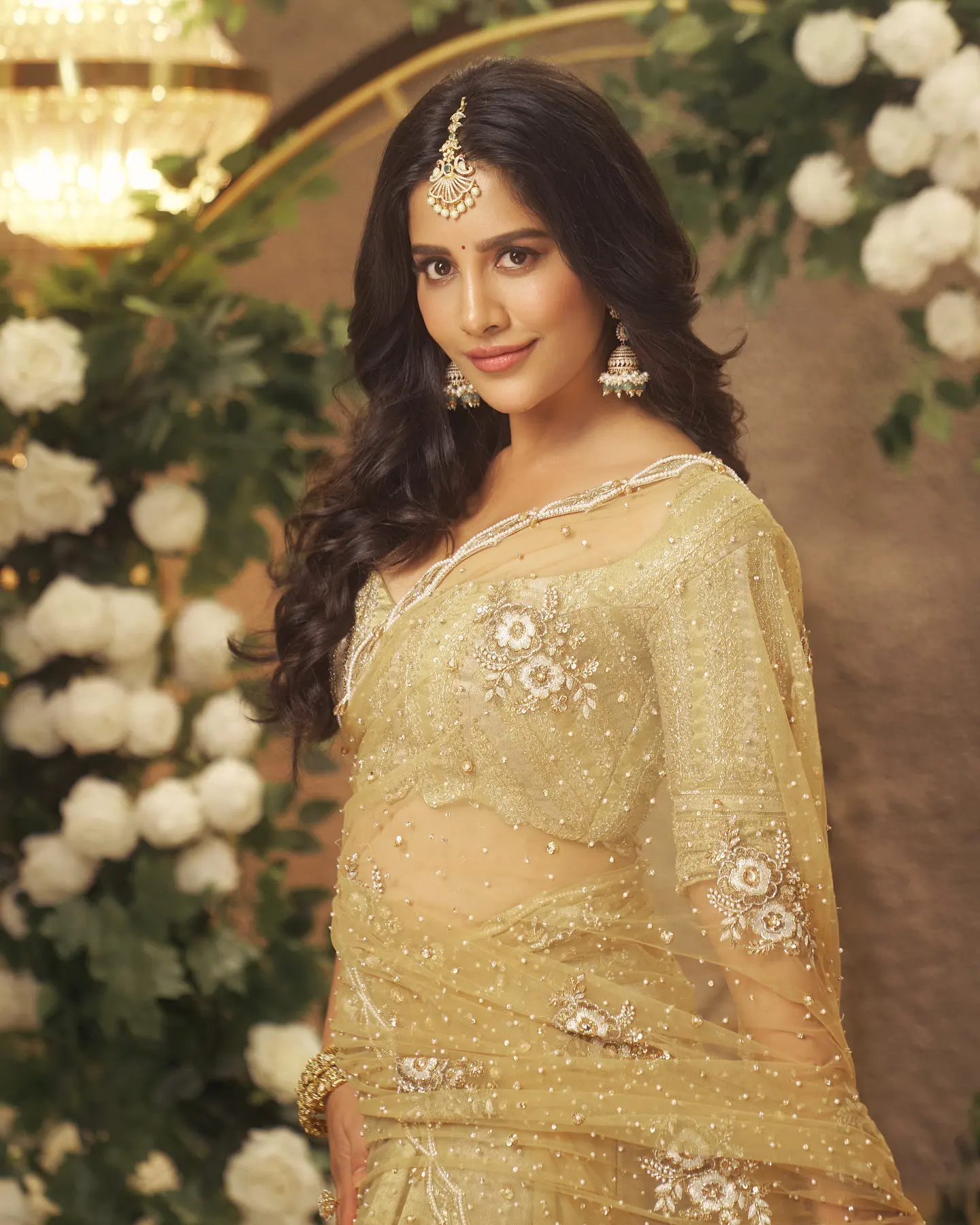 Nabha Natesh Shines like Gold in Saree