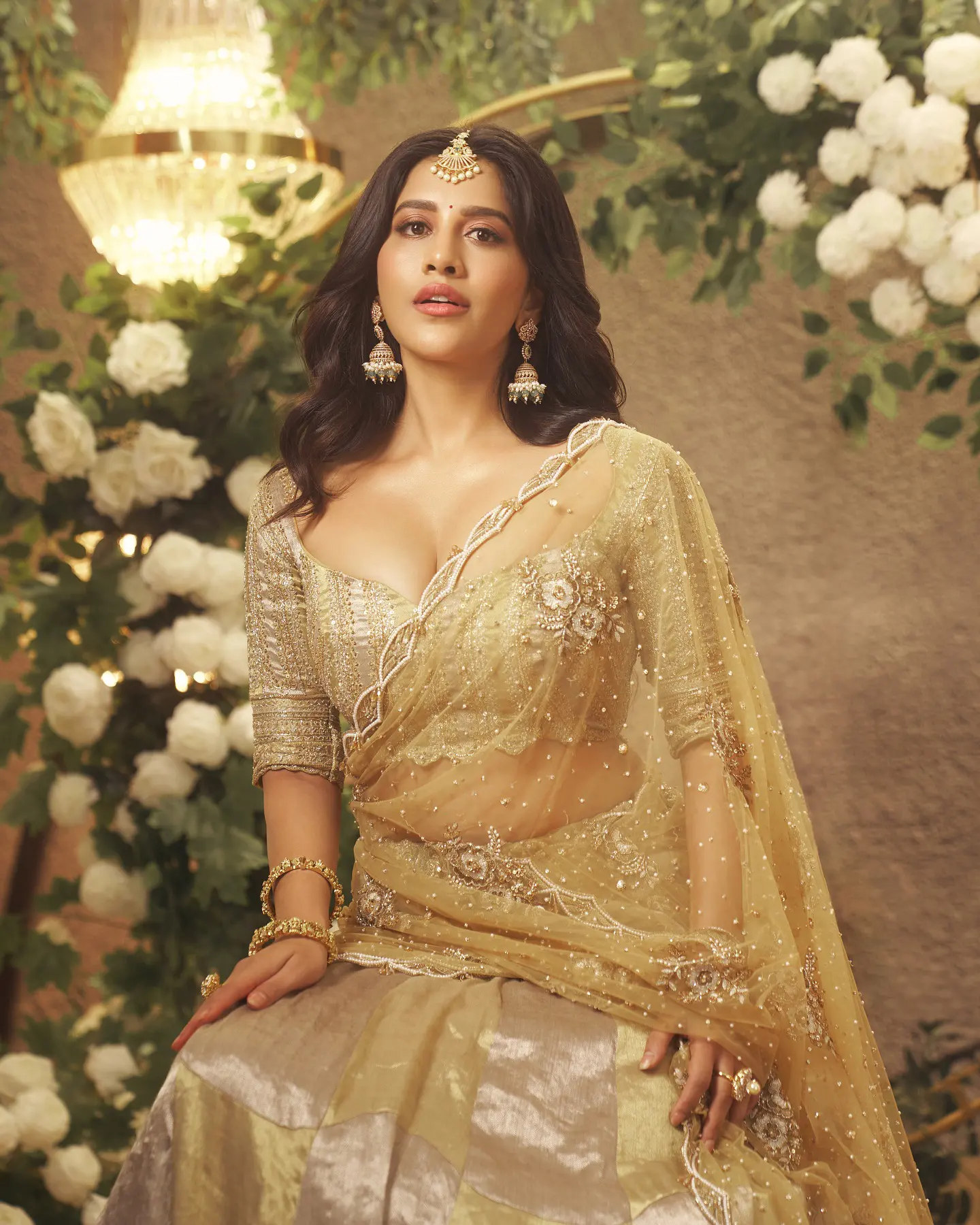 Nabha Natesh Shines like Gold in Saree