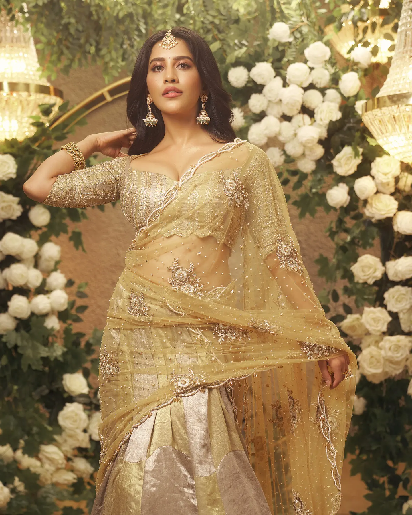 Nabha Natesh Shines like Gold in Saree