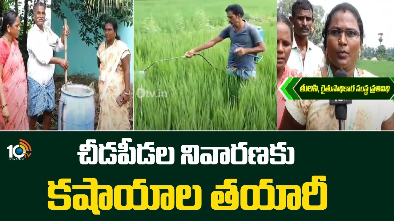 Organic Fertilizers : చీడపీడల నివారణకు కషాయాల తయారీ Organic Fertilizers : చీడపీడల నివారణకు కషాయాల తయారీ