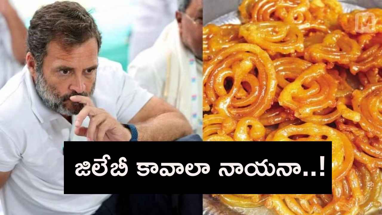 జిలేబీ కావాలా నాయనా..! రాహుల్ గాంధీని ట్రోల్ చేస్తున్న బీజేపీ.. అసలేంటీ జిలేబీ గోల.. జిలేబీ కావాలా నాయనా..! రాహుల్ గాంధీని ట్రోల్ చేస్తున్న బీజేపీ.. అసలేంటీ జిలేబీ గోల..