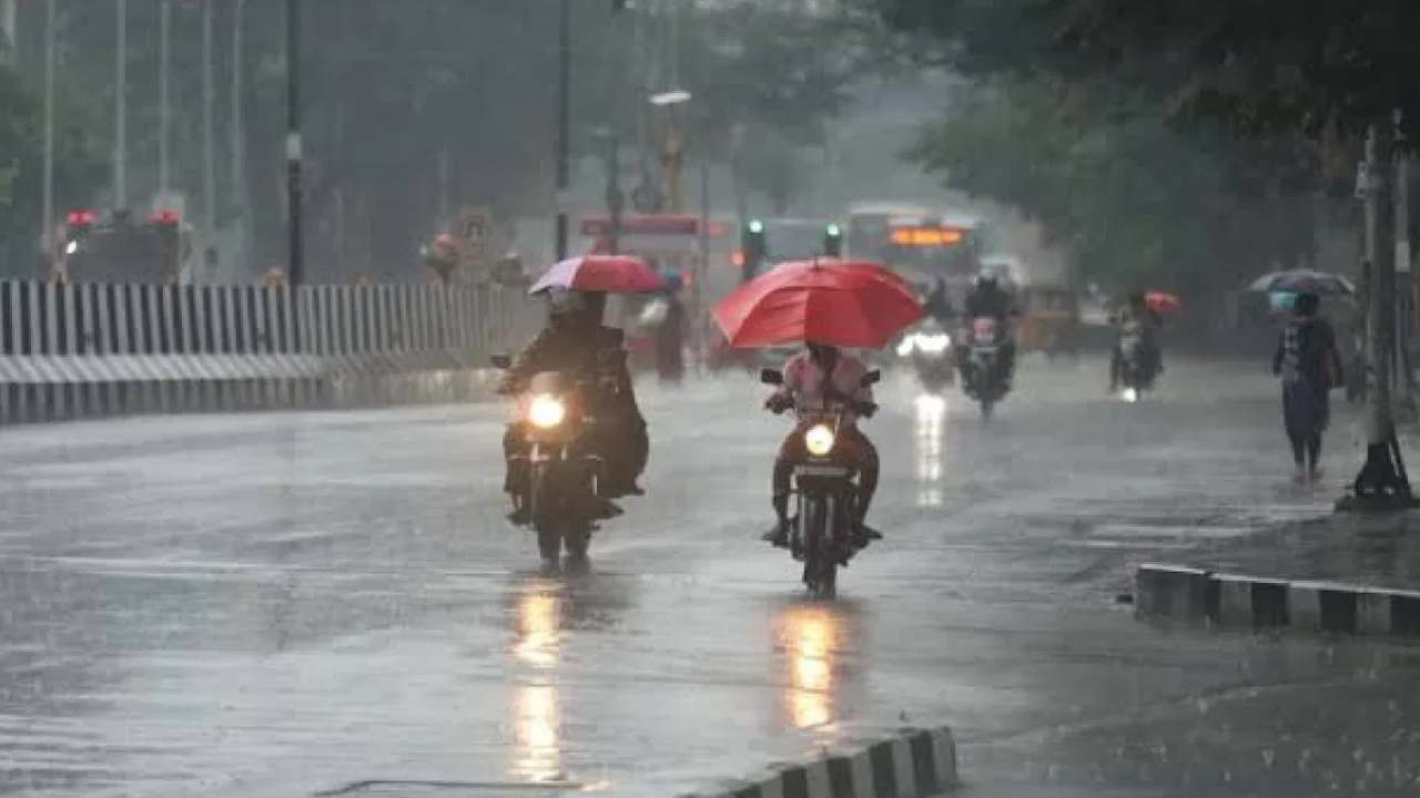 AP Rains 