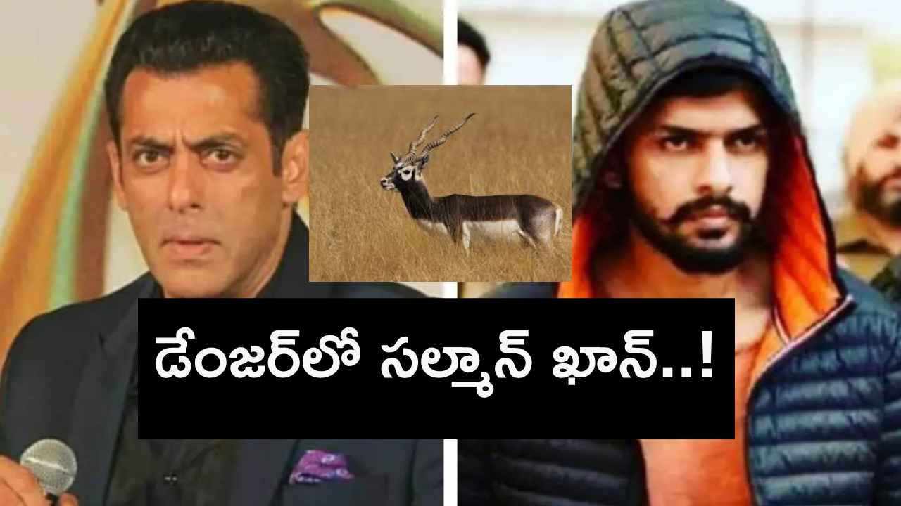 కండలవీరుడిని వెంటాడుతున్న ప్రాణభయం..! బిష్ణోయ్ గ్యాంగ్ నెక్ట్స్ టార్గెట్ సల్మాన్ ఖానేనా? కండలవీరుడిని వెంటాడుతున్న ప్రాణభయం..! బిష్ణోయ్ గ్యాంగ్ నెక్ట్స్ టార్గెట్ సల్మాన్ ఖానేనా?