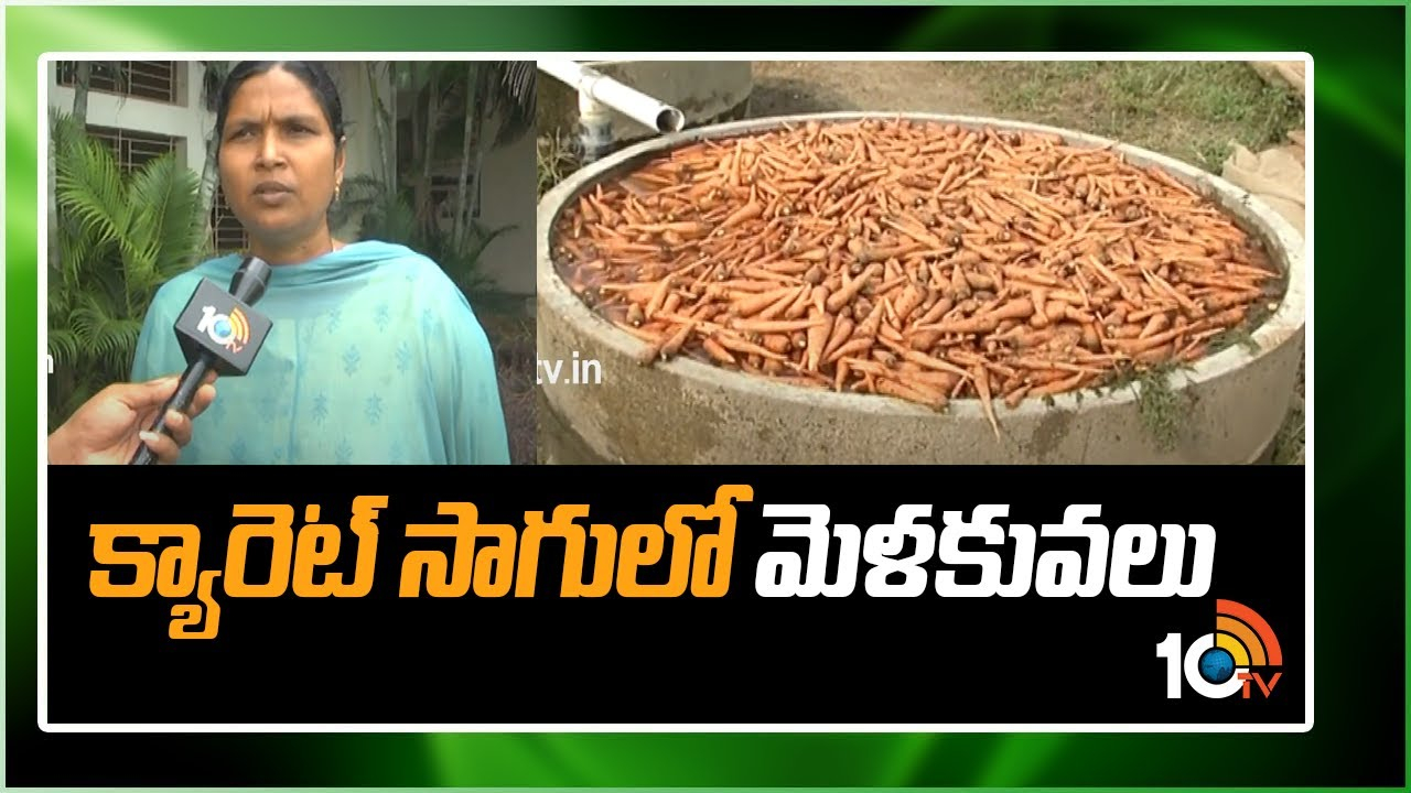 Carrot Farming : క్యారెట్ సాగుకు తేలికపాటి నేలలు అనుకూలం – నాణ్యమైన దిగుబడికి మెళకువలు Carrot Farming : క్యారెట్ సాగుకు తేలికపాటి నేలలు అనుకూలం – నాణ్యమైన దిగుబడికి మెళకువలు