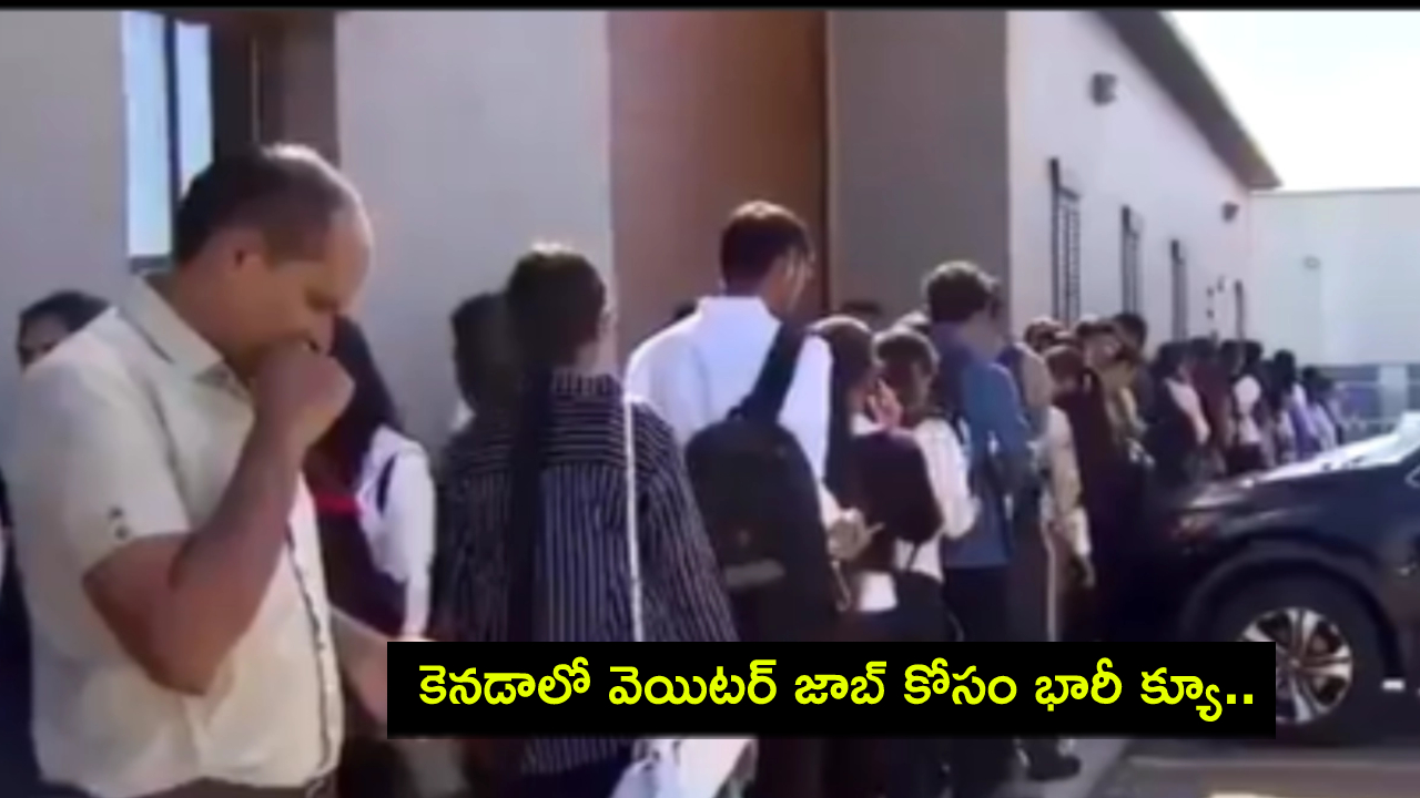 Indian Students in Canada : కెనడాలో వెయిటర్ జాబ్ కోసం క్యూ కట్టిన వేలాది మంది భారతీయ విద్యార్థులు.. వైరల్ వీడియోపై నెటిజన్ల ప్రశ్నలు..! Indian Students in Canada : కెనడాలో వెయిటర్ జాబ్ కోసం క్యూ కట్టిన వేలాది మంది భారతీయ విద్యార్థులు.. వైరల్ వీడియోపై నెటిజన్ల ప్రశ్నలు..!
