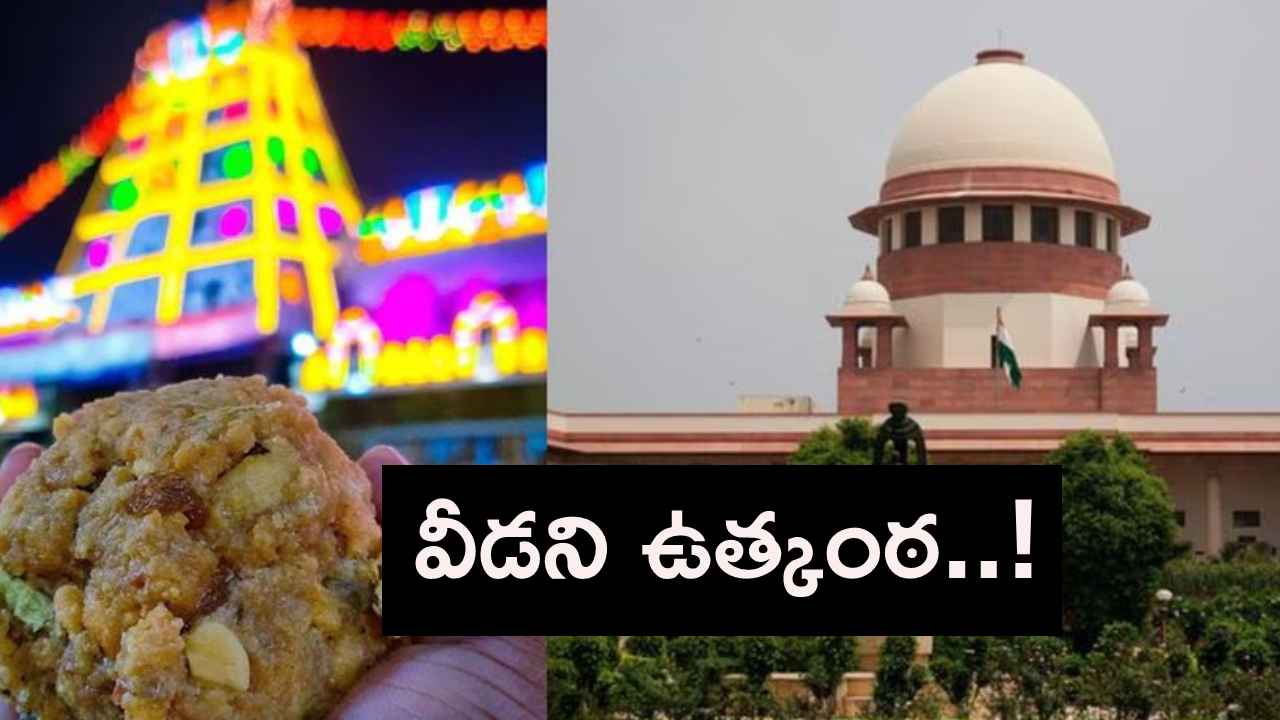 సుప్రీంకోర్టులో తిరుమల లడ్డూ అంశంపై విచారణ వాయిదా.. కారణం ఏంటంటే.. సుప్రీంకోర్టులో తిరుమల లడ్డూ అంశంపై విచారణ వాయిదా.. కారణం ఏంటంటే..