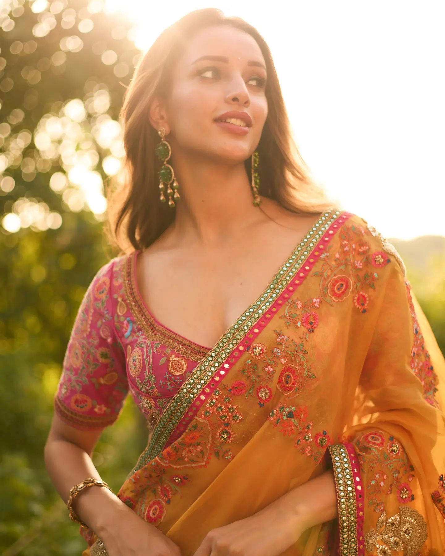 Triptii Dimri Stunning Looks in Saree