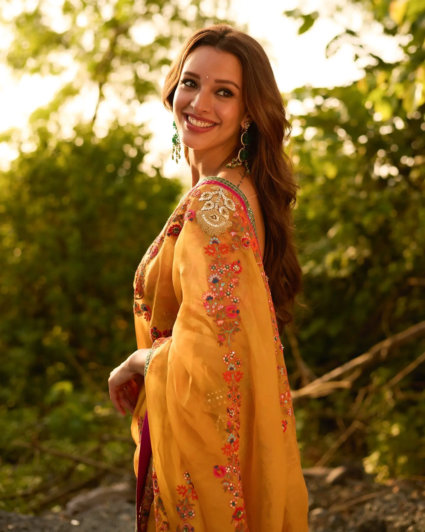 Triptii Dimri Stunning Looks in Saree