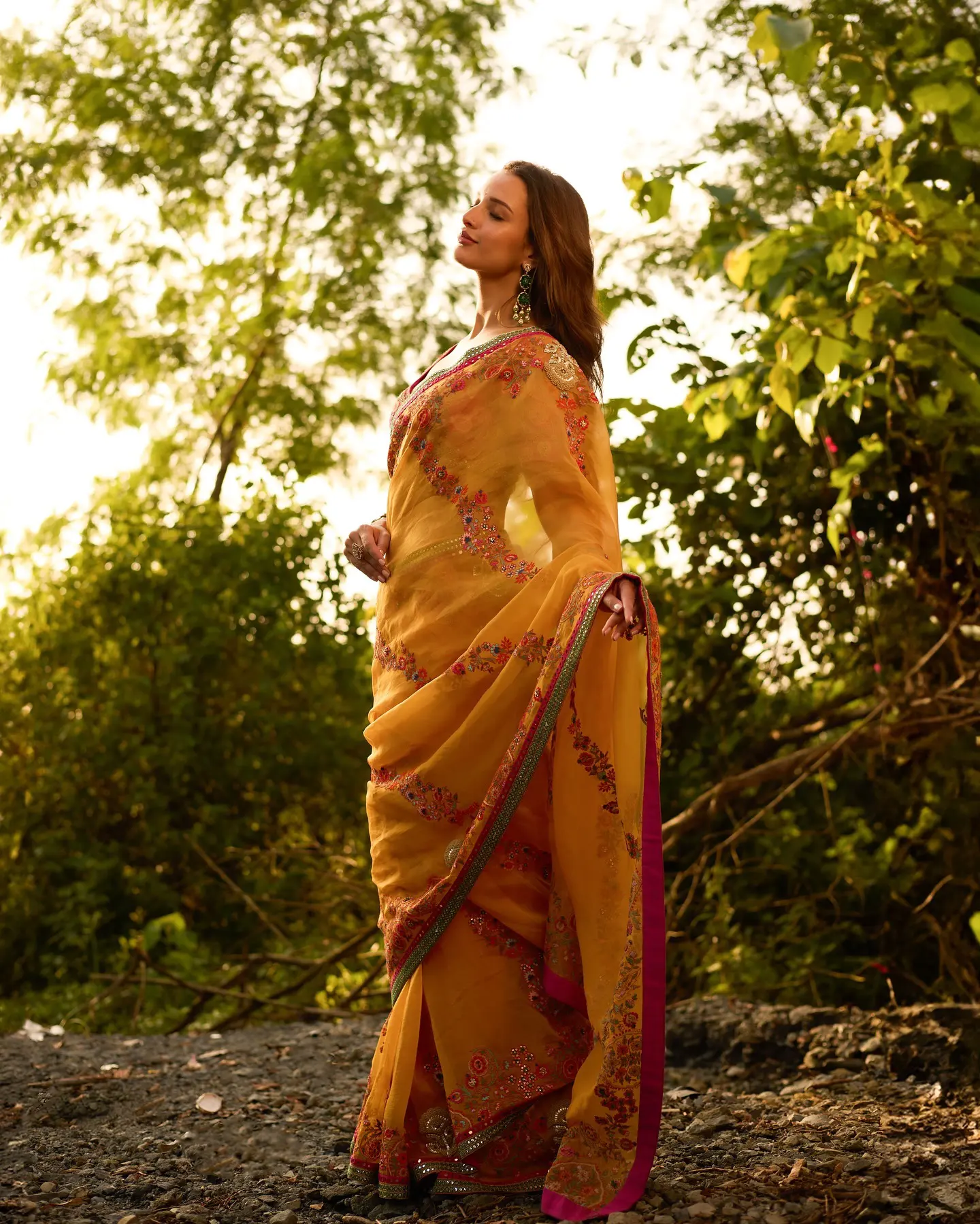Triptii Dimri Stunning Looks in Saree