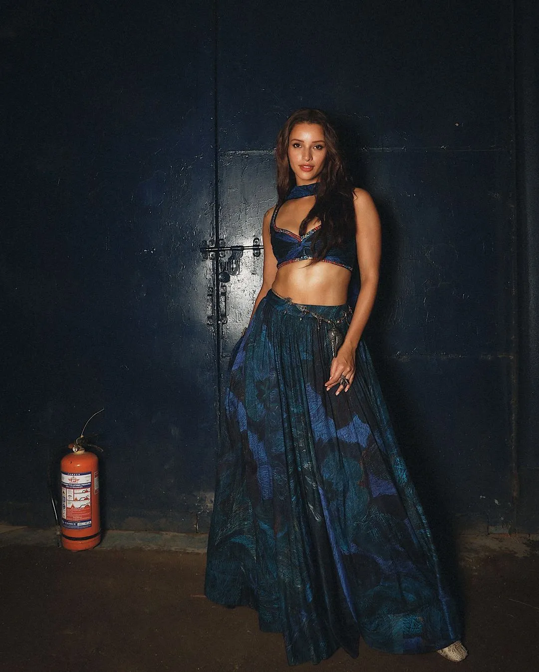 Triptii Dimri Sizzling Photos
