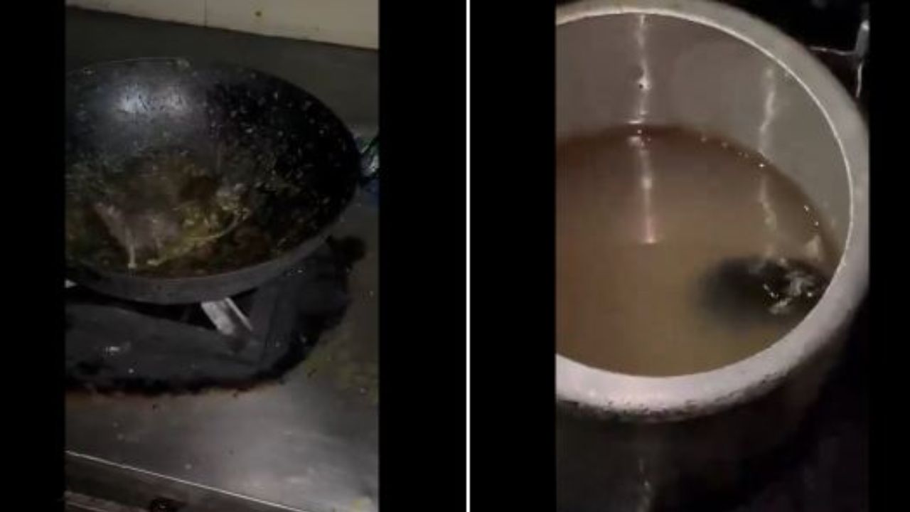 Viral Video: ఐఐటీలోని మెస్లో ఎలుకలు.. చూసి వికారానికి గురైన విద్యార్థులు Viral Video: ఐఐటీలోని మెస్లో ఎలుకలు.. చూసి వికారానికి గురైన విద్యార్థులు