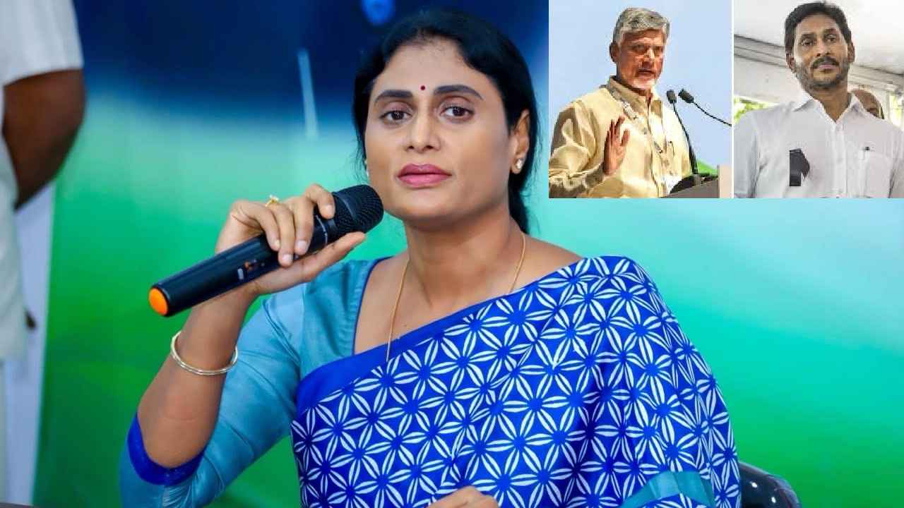 వాళ్లు గుడిని మింగేస్తే మీరు లింగాన్ని మింగేస్తున్నారు- మద్యం టెండర్ల అంశంలో సీఎం చంద్రబాబుపై షర్మిల ఫైర్ వాళ్లు గుడిని మింగేస్తే మీరు లింగాన్ని మింగేస్తున్నారు- మద్యం టెండర్ల అంశంలో సీఎం చంద్రబాబుపై షర్మిల ఫైర్