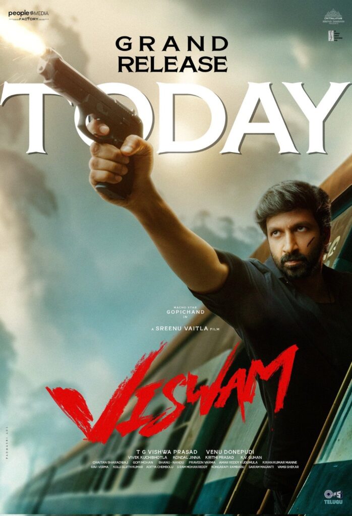Sreenu Vaitla Gopichand Viswam Movie Review and Rating 