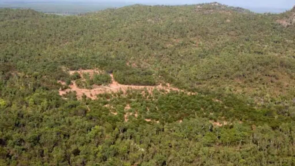 kappatralla forest