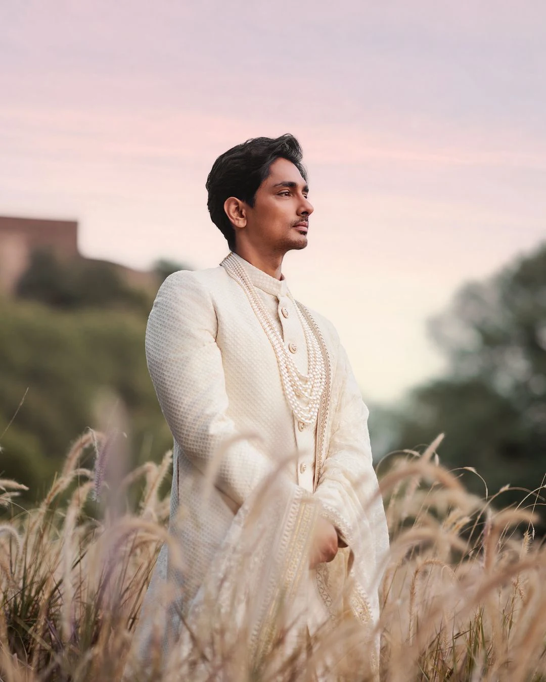 Aditi Rao Hydari Siddharth Married again