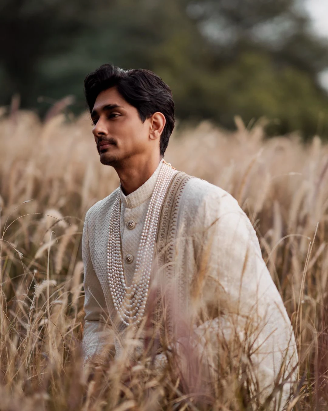Aditi Rao Hydari Siddharth Married again