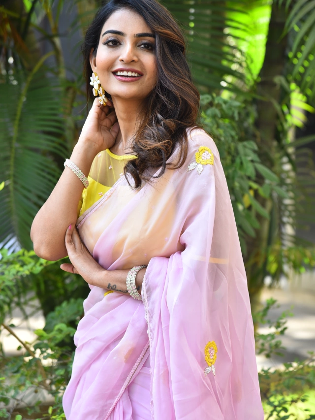 Ananya nagalla Awesome Looks in Saree