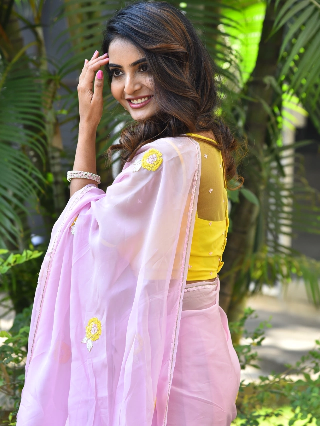 Ananya nagalla Awesome Looks in Saree