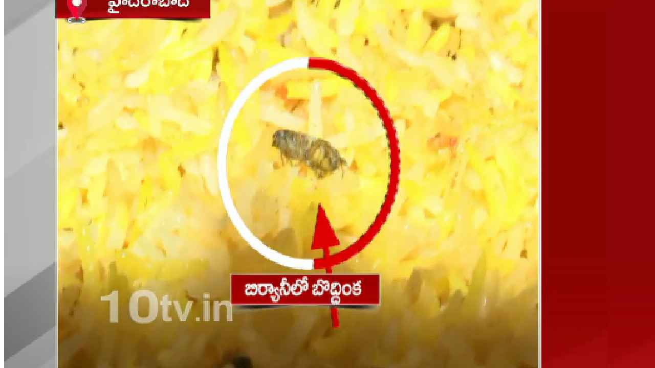 Cockroach In Biryani : బాబోయ్.. బిర్యానీలో బొద్దింక.. హైదరాబాద్లోని హోటల్లో మరో దారుణం.. Cockroach In Biryani : బాబోయ్.. బిర్యానీలో బొద్దింక.. హైదరాబాద్లోని హోటల్లో మరో దారుణం..