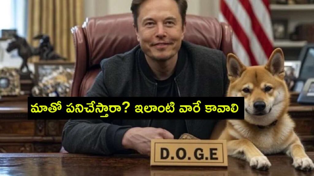 DOGE Vacancy