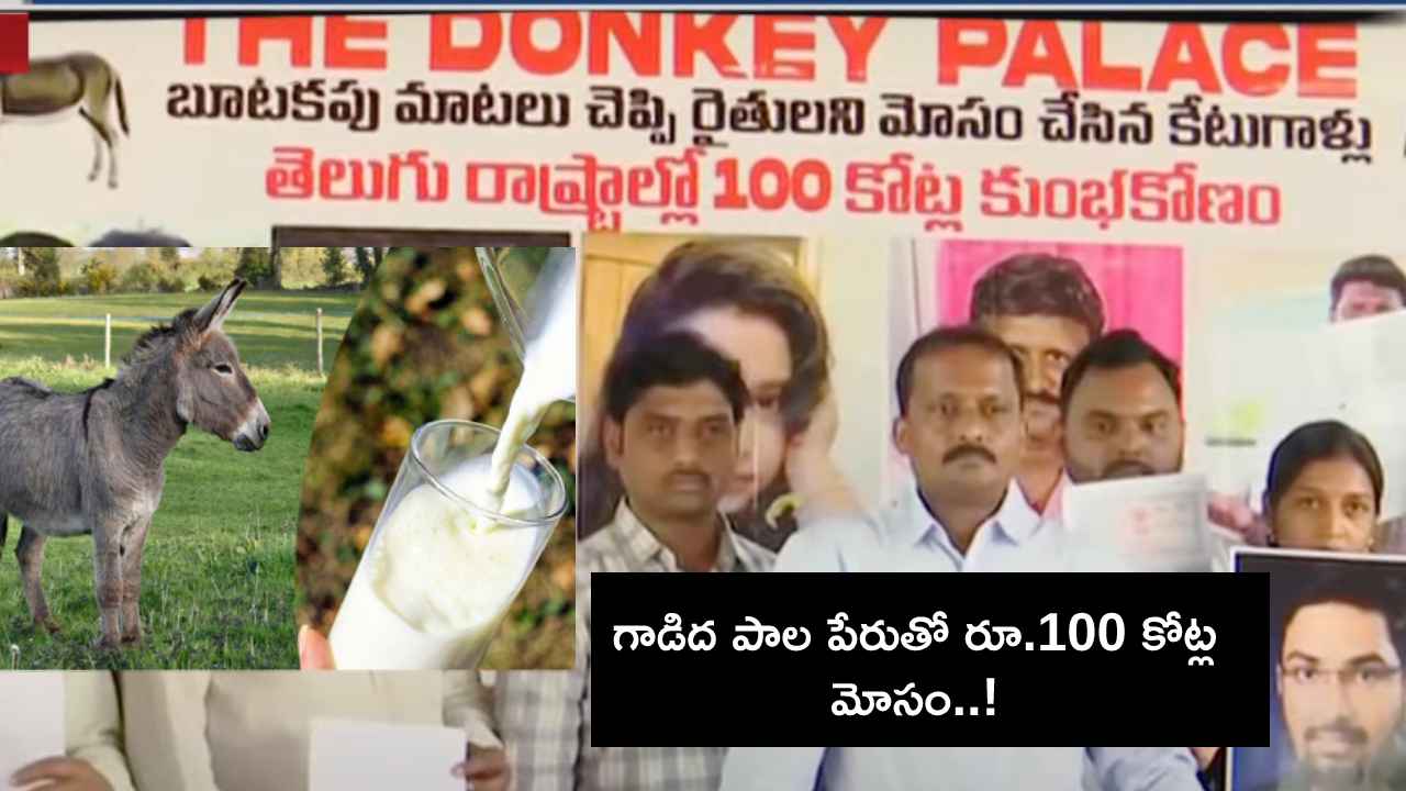 ఇదేందయ్యా ఇది.. గాడిద పాల వ్యాపారం పేరుతో రూ.100 కోట్ల మోసం.. ఎలా చీట్ చేశారంటే.. ఇదేందయ్యా ఇది.. గాడిద పాల వ్యాపారం పేరుతో రూ.100 కోట్ల మోసం.. ఎలా చీట్ చేశారంటే..