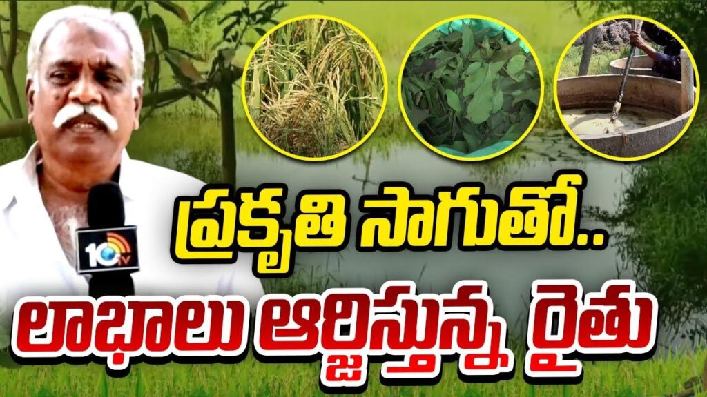 Farmer Earning Pofits with Natural Cultivation