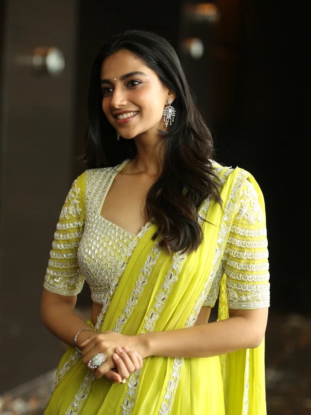 Meenaakshi Chaudhary Mesmerizing Looks in Saree
