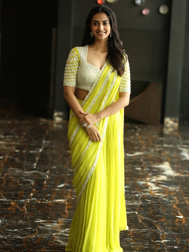 Meenaakshi Chaudhary Mesmerizing Looks in Saree