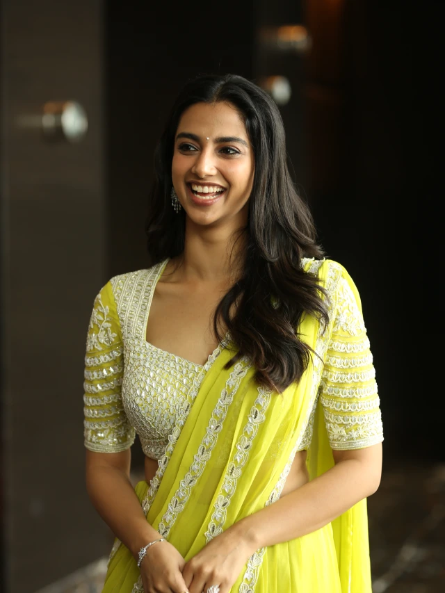 Meenaakshi Chaudhary Mesmerizing Looks in Saree