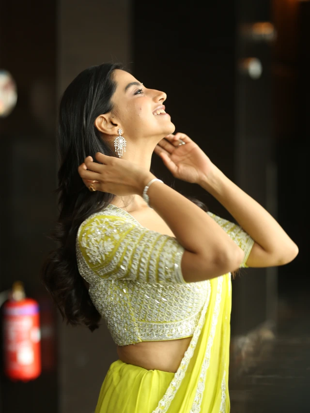 Meenaakshi Chaudhary Mesmerizing Looks in Saree
