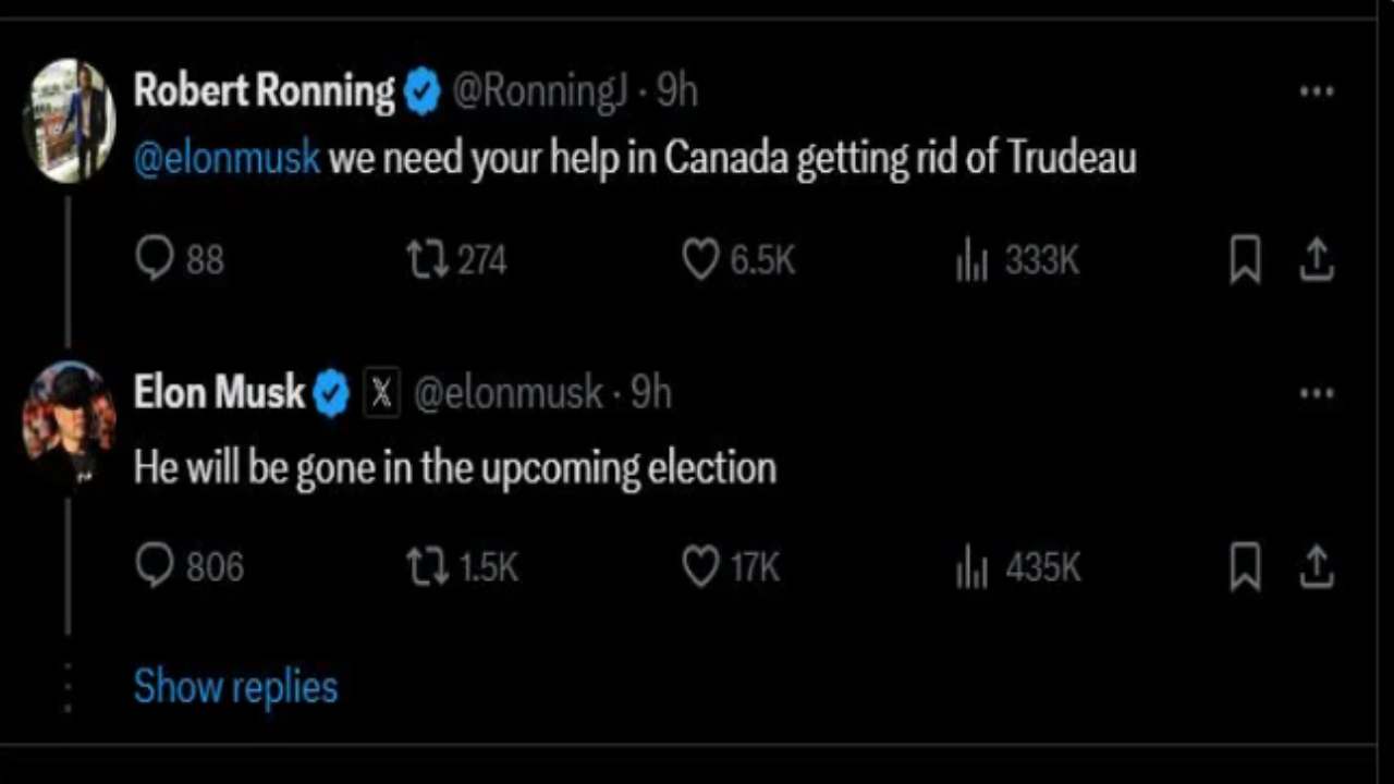 Musk Tweet