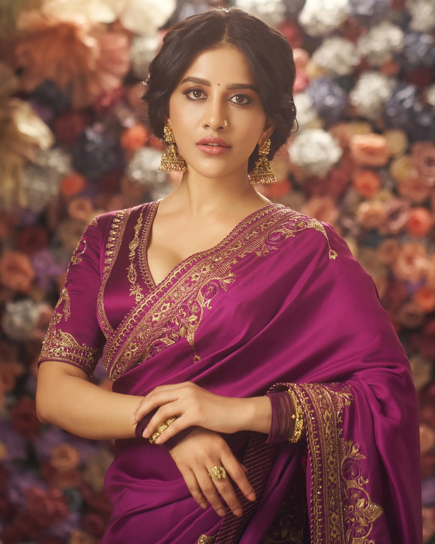 Nabha Natesh Stunning Looks in Saree