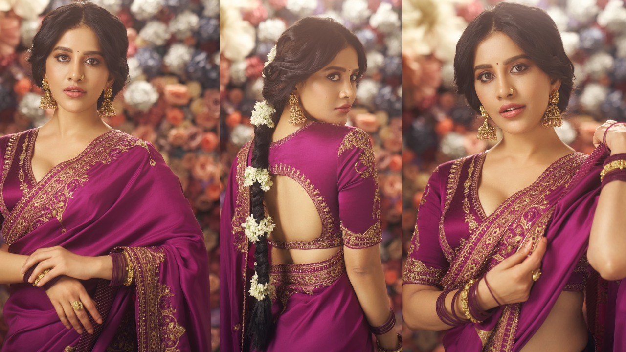 Nabha Natesh : చీరలో అందంతో అదరగొడుతున్న నభా నటేష్.. ఫొటోలు చూశారా?
