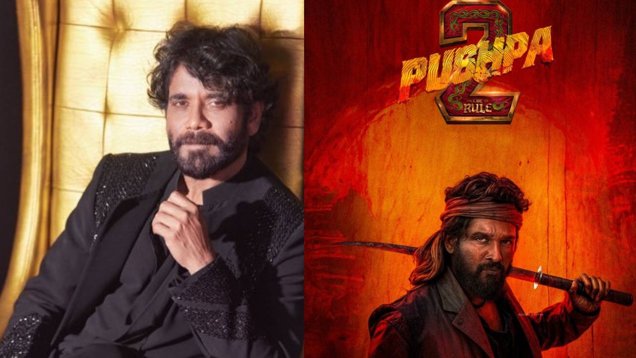 Pushpa 2 : పుష్ప 2 తో అన్నపూర్ణ స్టూడియోస్ లింకప్.. దేనికో తెలుసా? Pushpa 2 : పుష్ప 2 తో అన్నపూర్ణ స్టూడియోస్ లింకప్.. దేనికో తెలుసా?