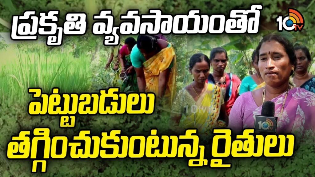 Natural Farming Benefits