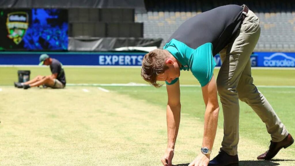 Perth Test curator reveals how pitch will play after unusual spell of rain