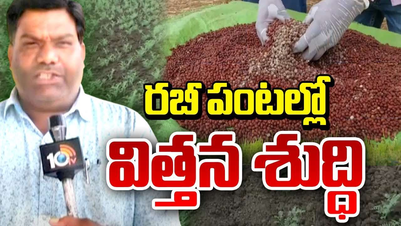 Rabi Crops : రబీ పంటల్లో విత్తన శుద్ధి.. అన్ని రకాల పంటలకు చీడపీడలు Rabi Crops : రబీ పంటల్లో విత్తన శుద్ధి.. అన్ని రకాల పంటలకు చీడపీడలు