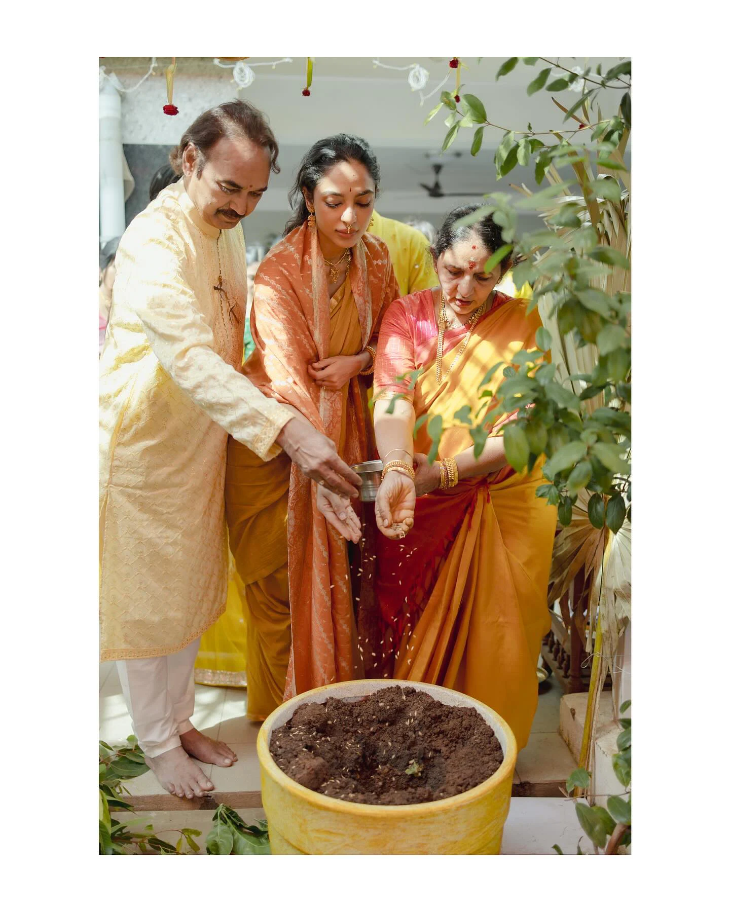 Sobhita Dhulipala Haldi Ceremony Photos