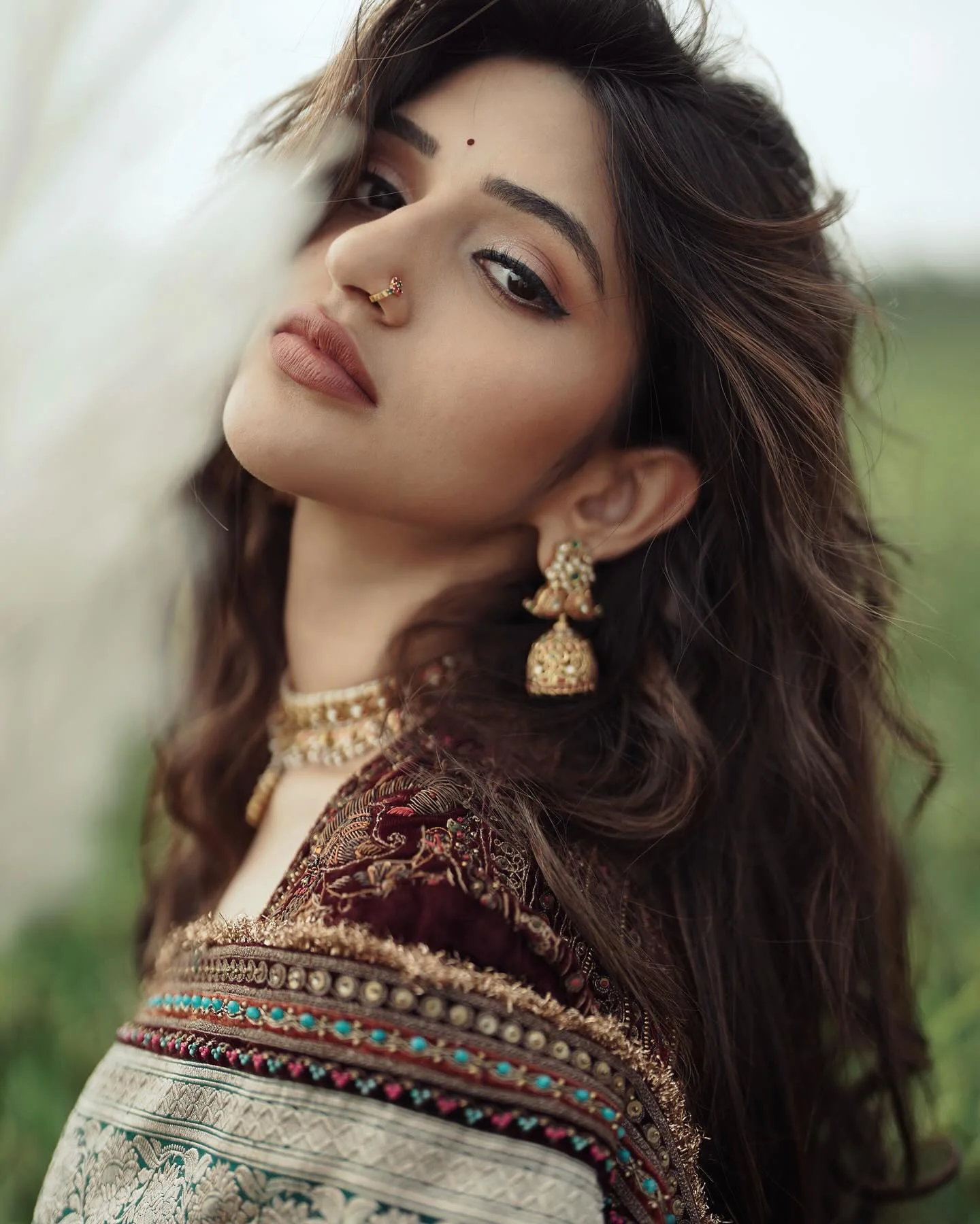 Sreeleela Shines in Saree