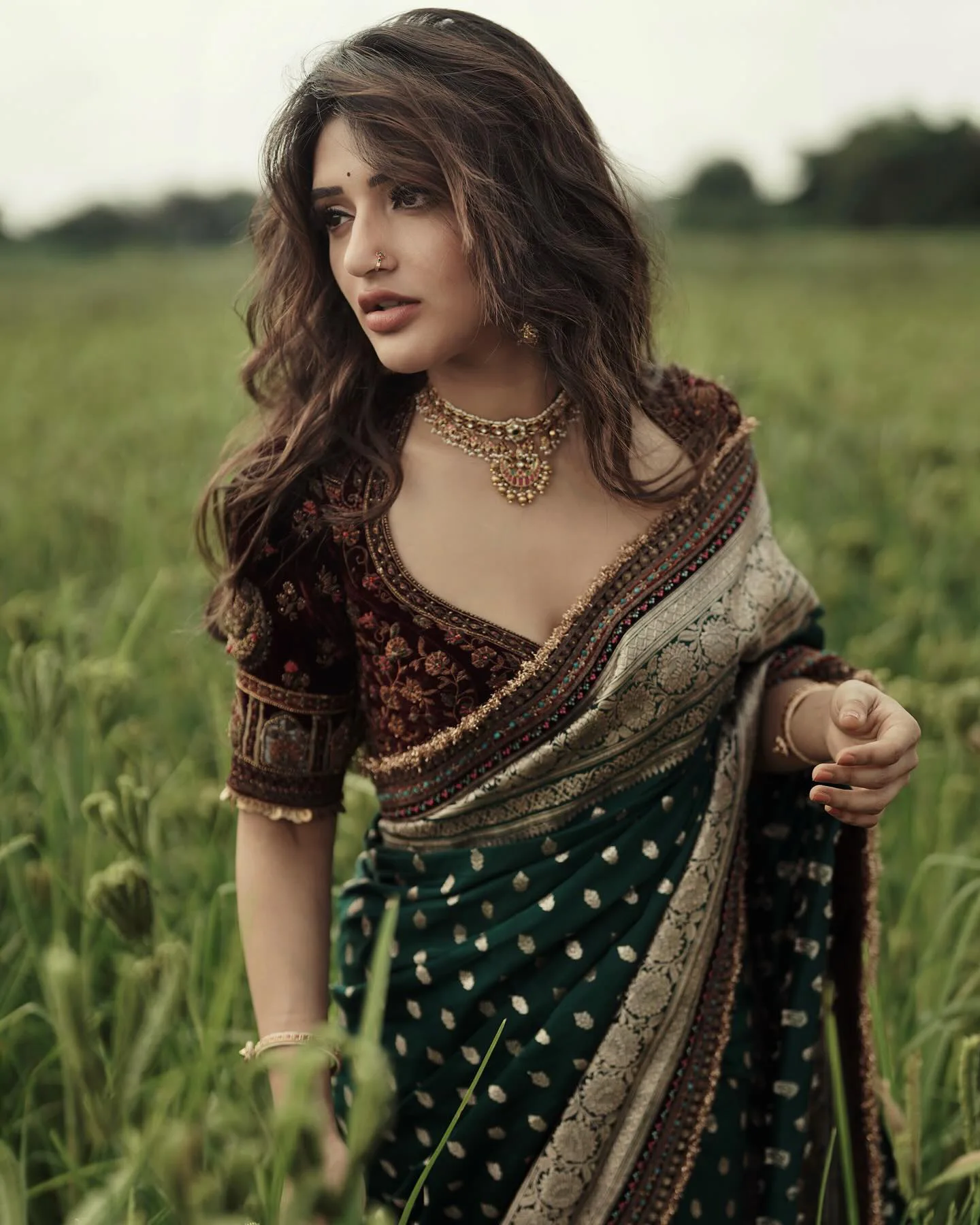Sreeleela Shines in Saree