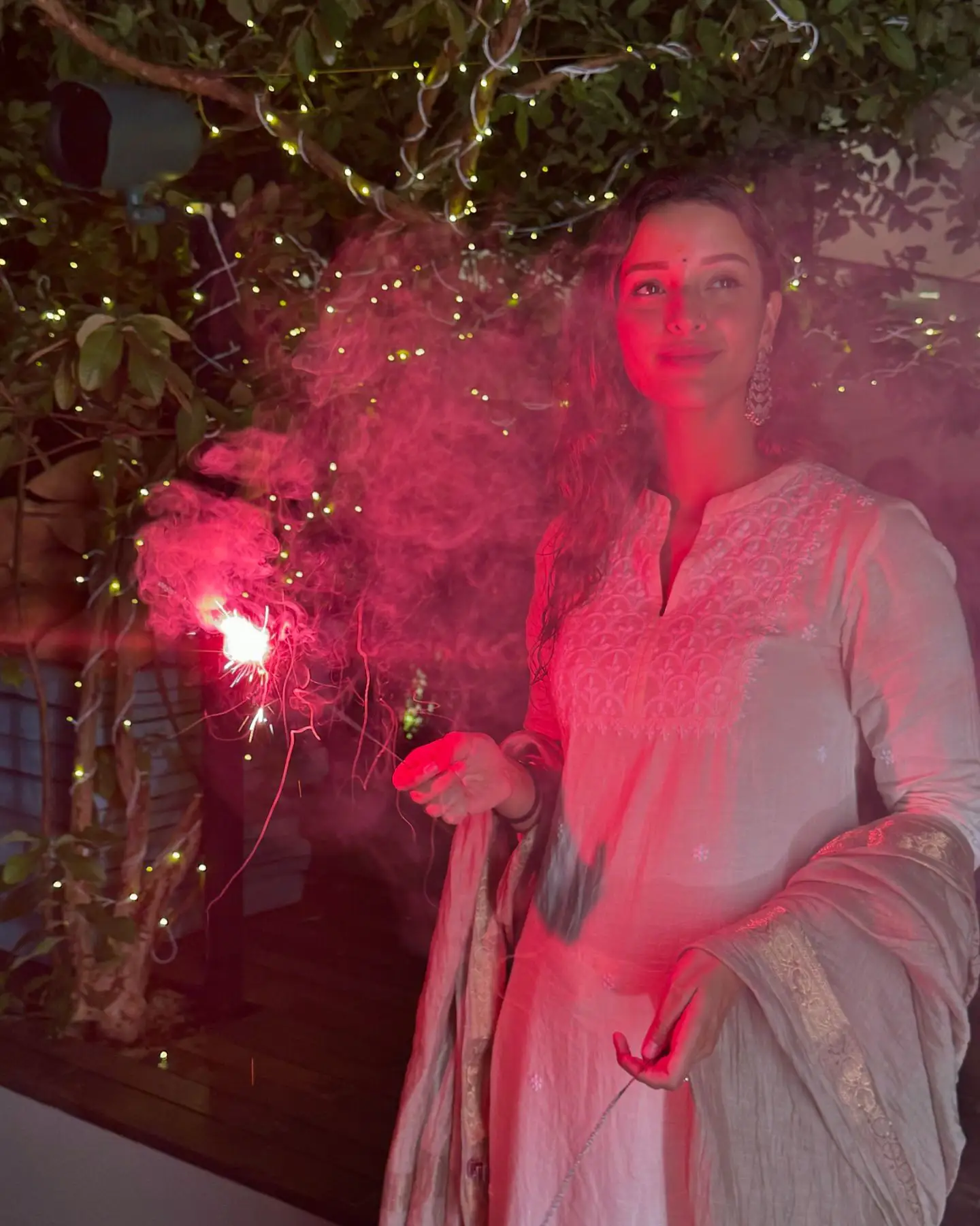 Tripti Dimri Diwali Celebrations