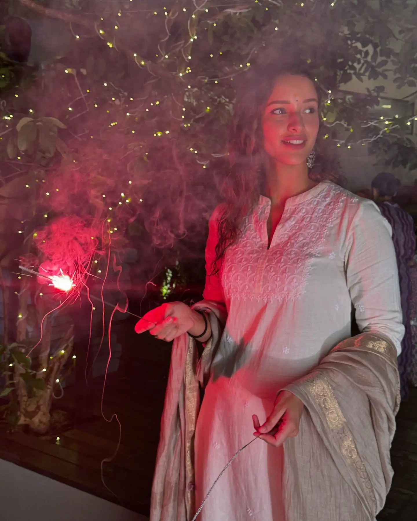 Tripti Dimri Diwali Celebrations