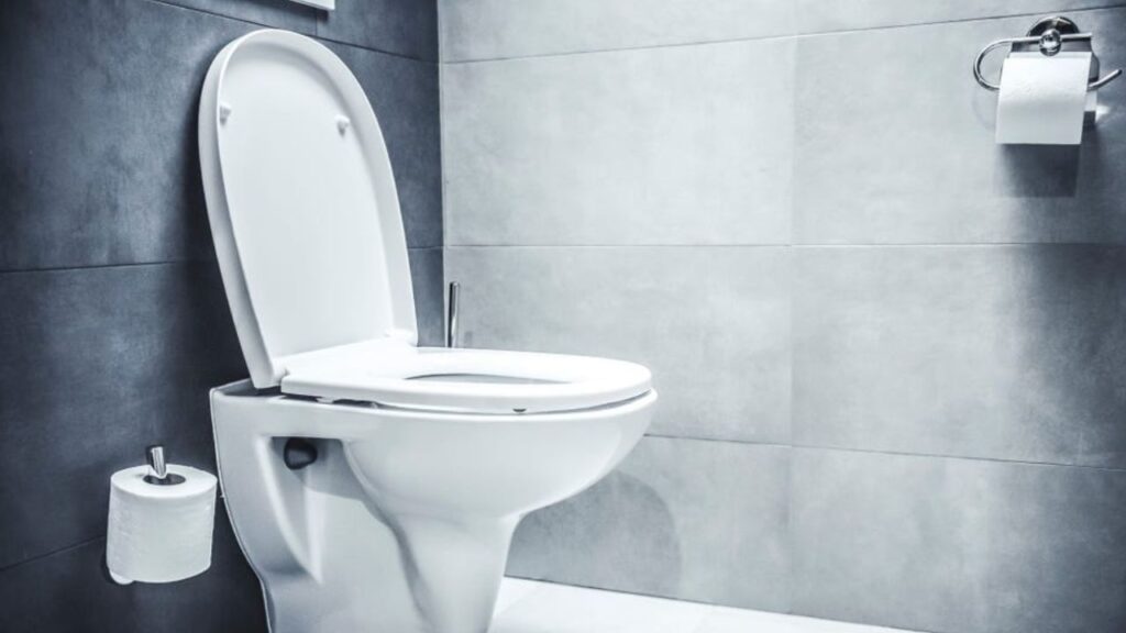 Toilet Time, Health Risks