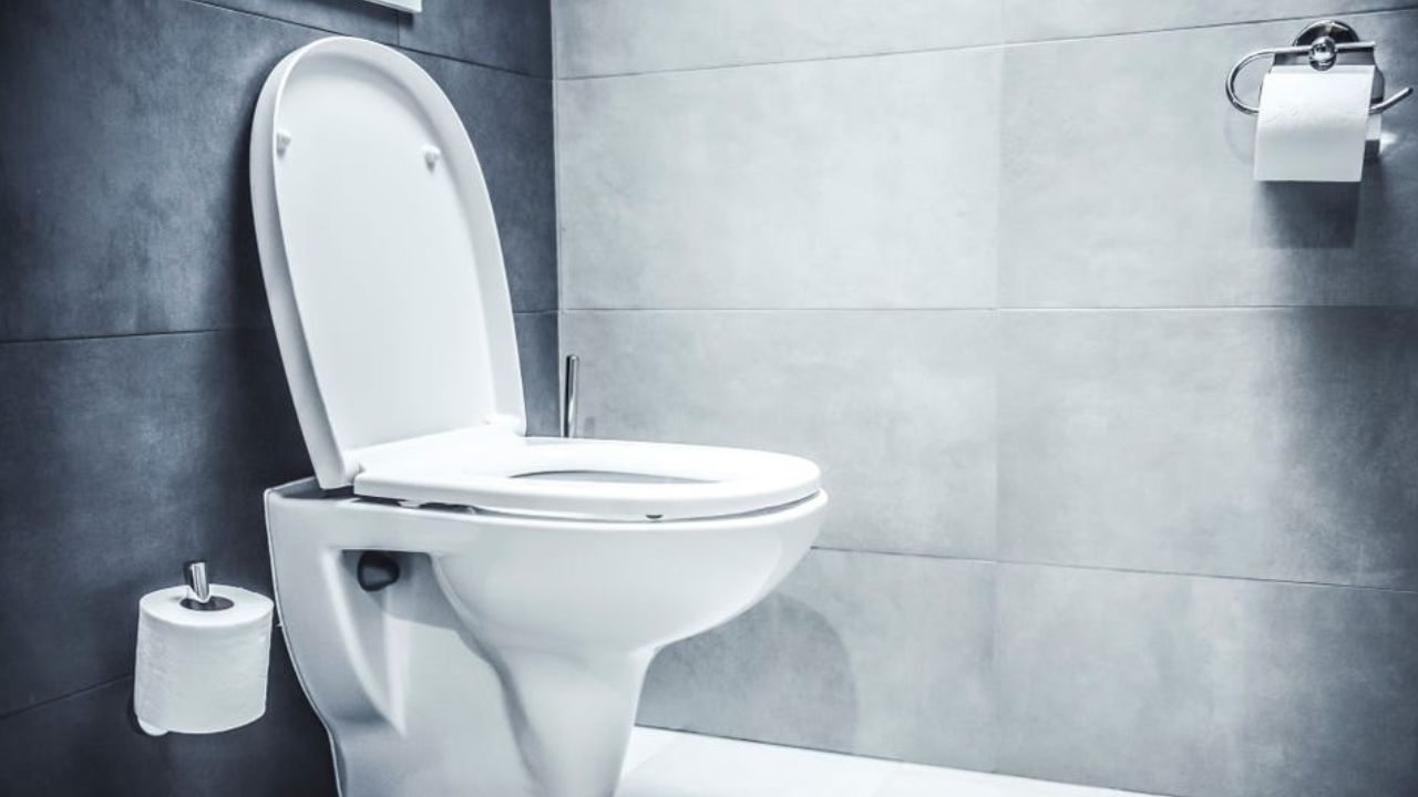 Toilet Time: టాయిలెట్లో అధిక సమయం కూర్చుంటున్నారా? ఈ అనారోగ్య సమస్యలు చుట్టుముడతాయ్.. Toilet Time: టాయిలెట్లో అధిక సమయం కూర్చుంటున్నారా? ఈ అనారోగ్య సమస్యలు చుట్టుముడతాయ్..