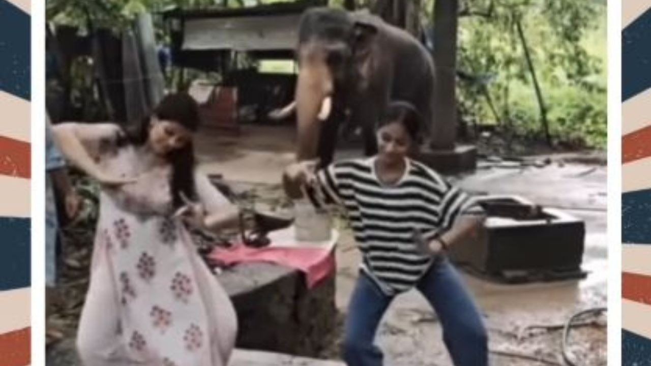 Viral Video: డ్యాన్స్ చేసిన ఏనుగు.. అదుర్స్ అంటున్న నెటిజన్లు Viral Video: డ్యాన్స్ చేసిన ఏనుగు.. అదుర్స్ అంటున్న నెటిజన్లు