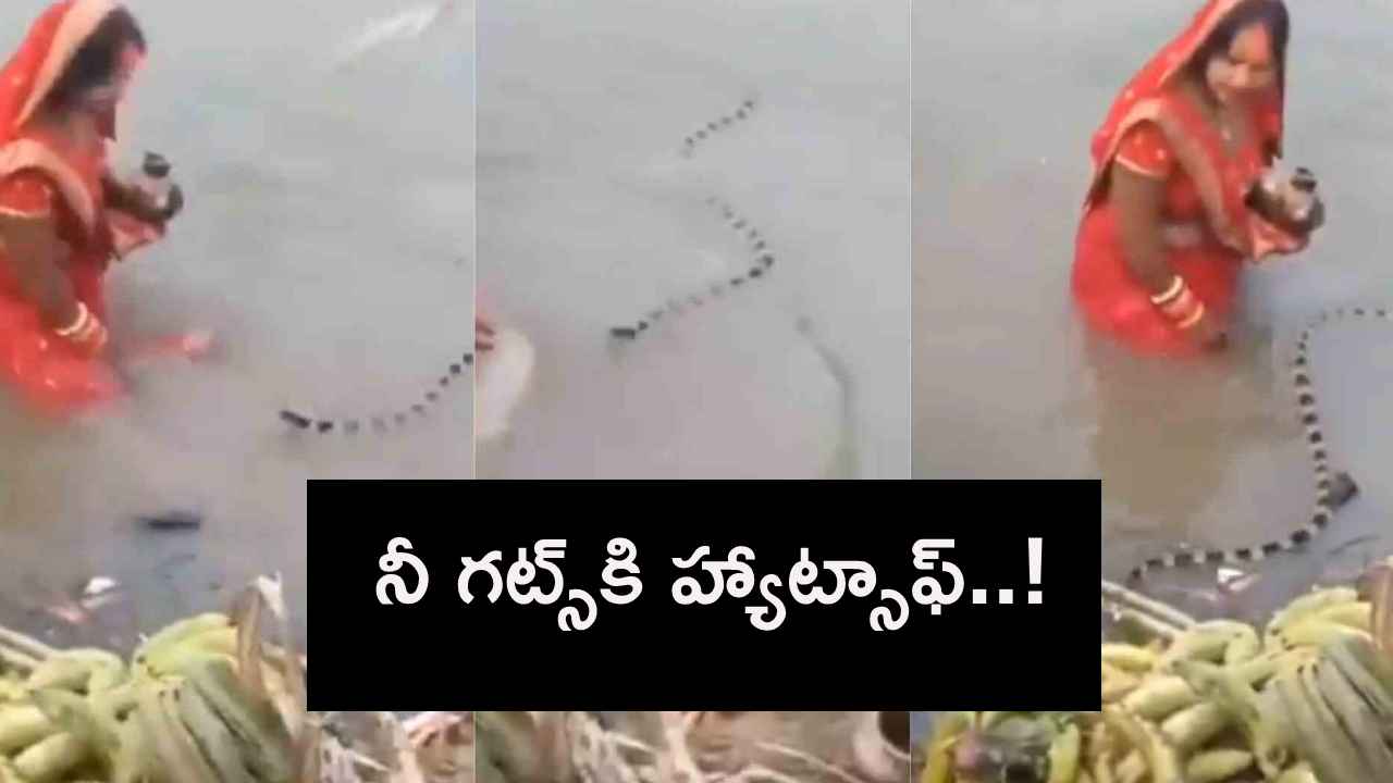 ఏం గుండెరా ఆమెది..! పక్కనే విషపూరితమైన పామున్నా ఎంత ధైర్యంగా నిల్చుందో చూడండి.. ఏం గుండెరా ఆమెది..! పక్కనే విషపూరితమైన పామున్నా ఎంత ధైర్యంగా నిల్చుందో చూడండి..