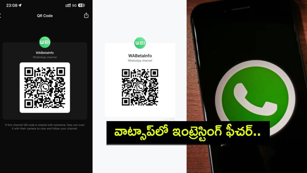 WhatsApp QR Codes