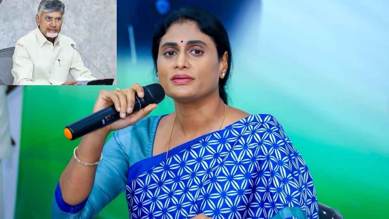 అలాంటి సైకోలను వదలొద్దు, వారి అంతు చూడండి- చంద్రబాబు ప్రభుత్వానికి షర్మిల విజ్ఞప్తి.. అలాంటి సైకోలను వదలొద్దు, వారి అంతు చూడండి- చంద్రబాబు ప్రభుత్వానికి షర్మిల విజ్ఞప్తి..