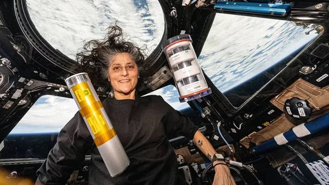 Sunita Williams: అసలు సునీత విలియమ్స్ అంతరిక్ష కేంద్రానికి ఎందుకు వెళ్లారు? Sunita Williams: అసలు సునీత విలియమ్స్ అంతరిక్ష కేంద్రానికి ఎందుకు వెళ్లారు?