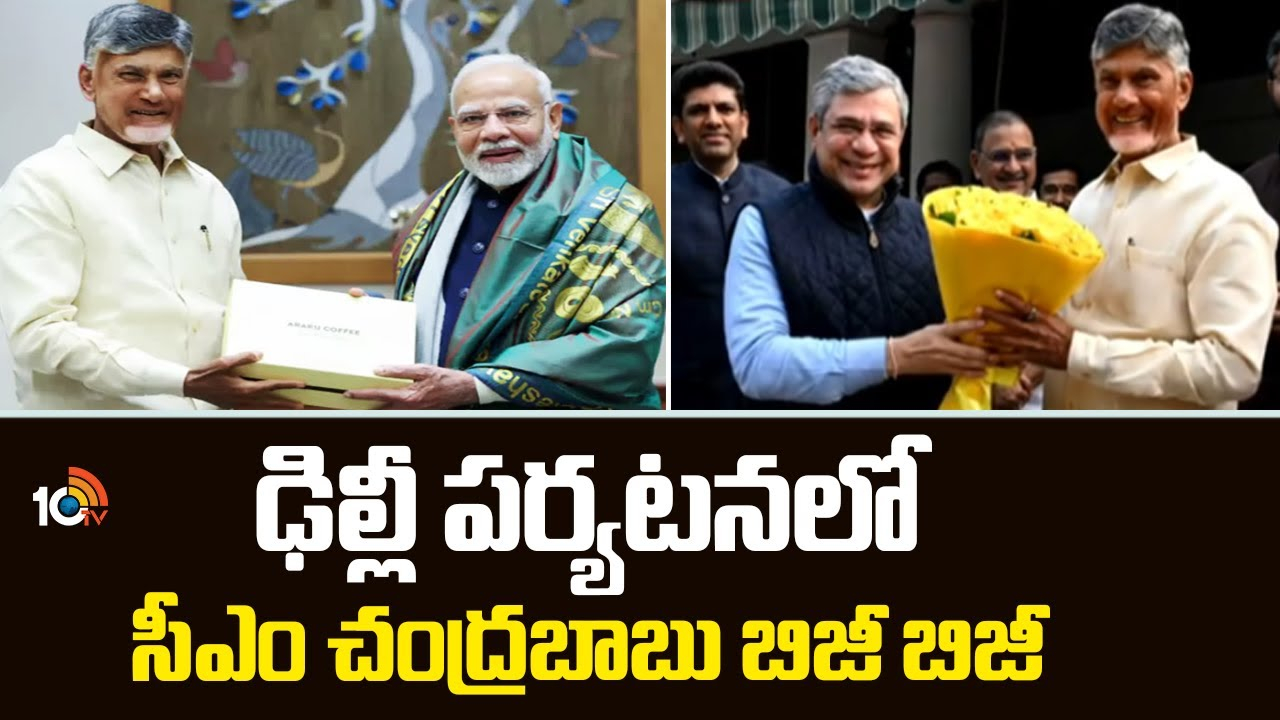 CM Chandrababu Delhi Tour : ఢిల్లీ పర్యటనలో సీఎం చంద్రబాబు బిజీ బిజీ